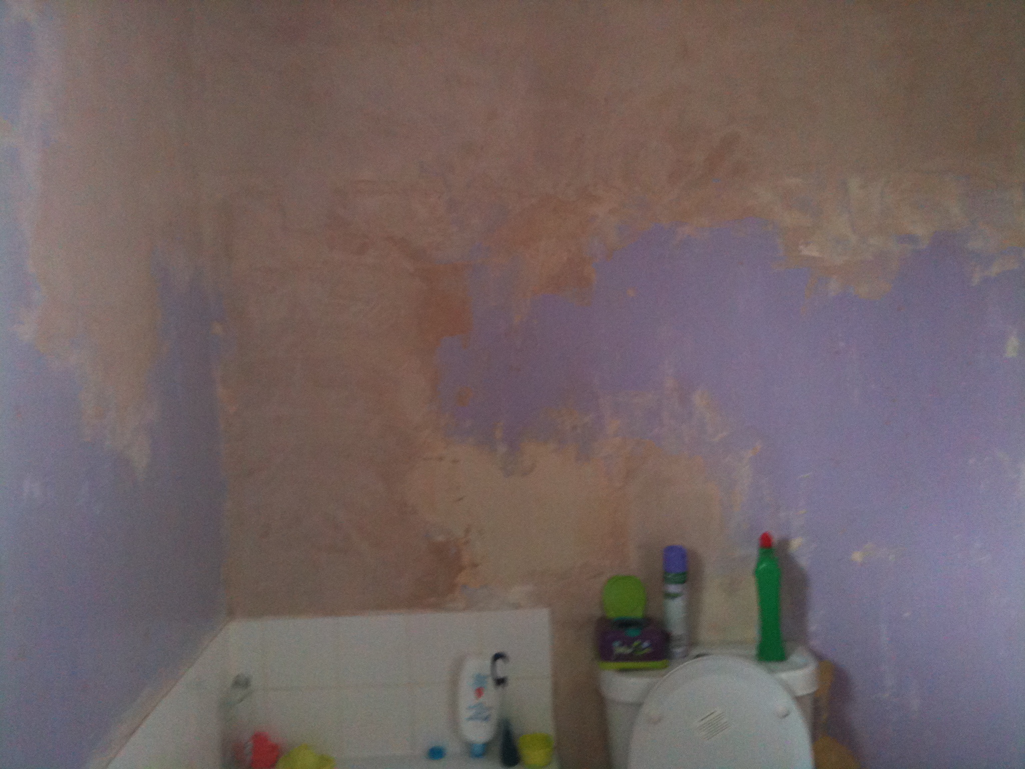 Bathroom before renovation